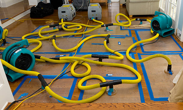 Professional Water Damage Repair technician working in Piney Woods, MS